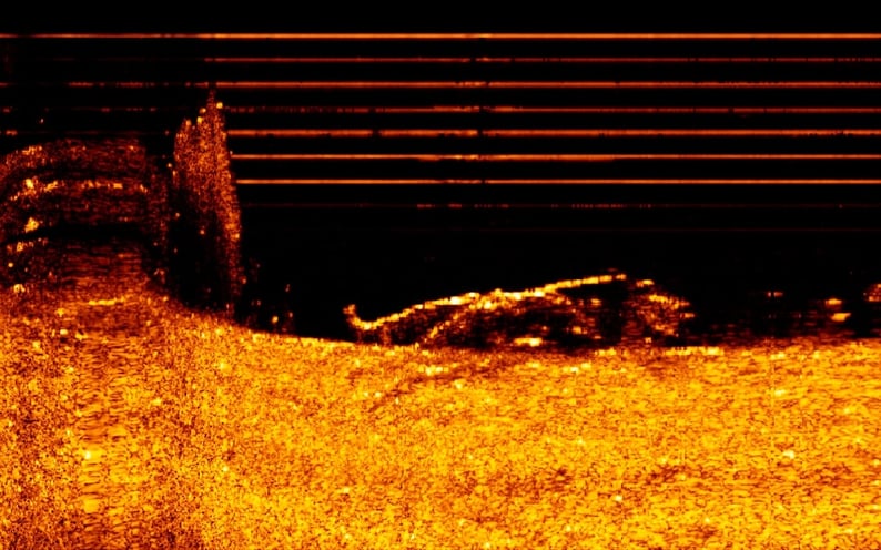 asar zoekhonden3sdfas