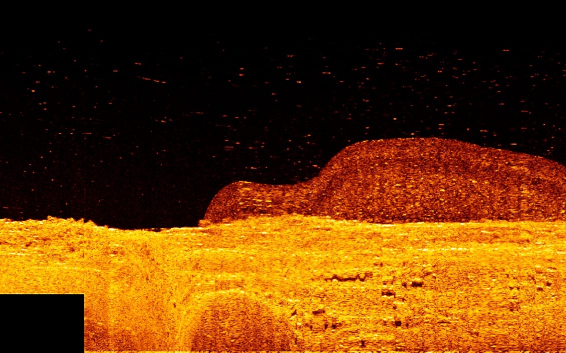 asar zoekhonden4dfsasd